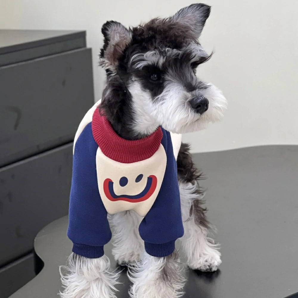 Dog autumn and winter clothes plush cotton colorblock sweatshirt