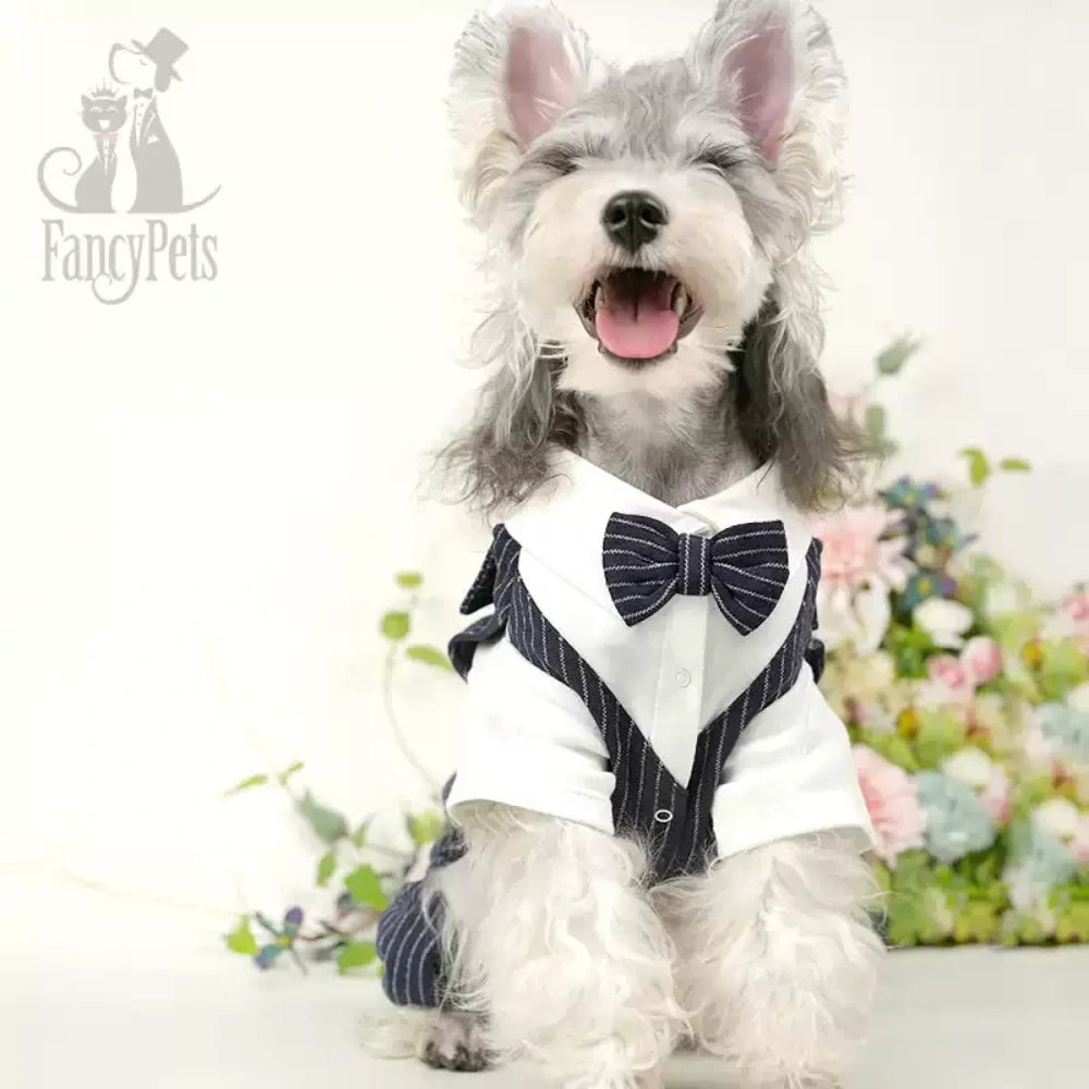 Dog suit dress pet four-legged clothes wedding suit