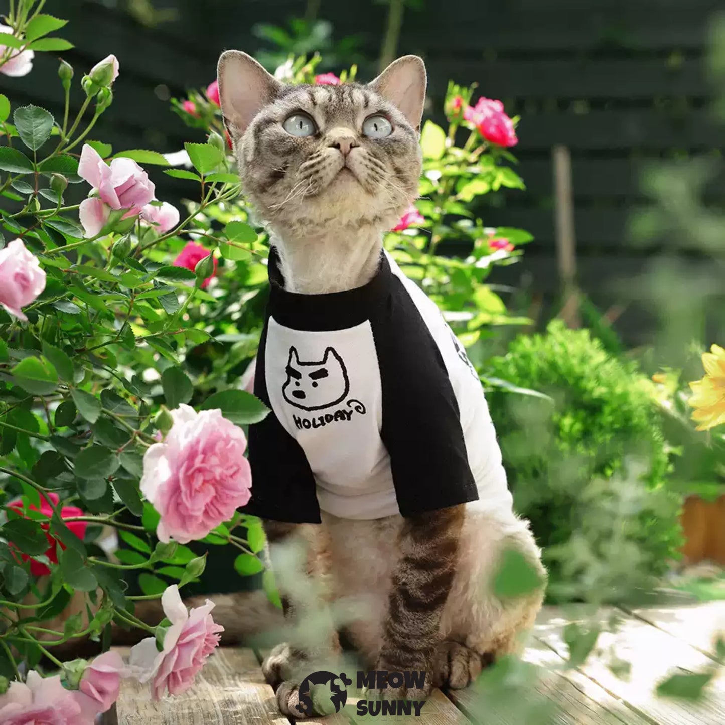 Summer Thin Cotton Breathable Cute Cat T-shirt