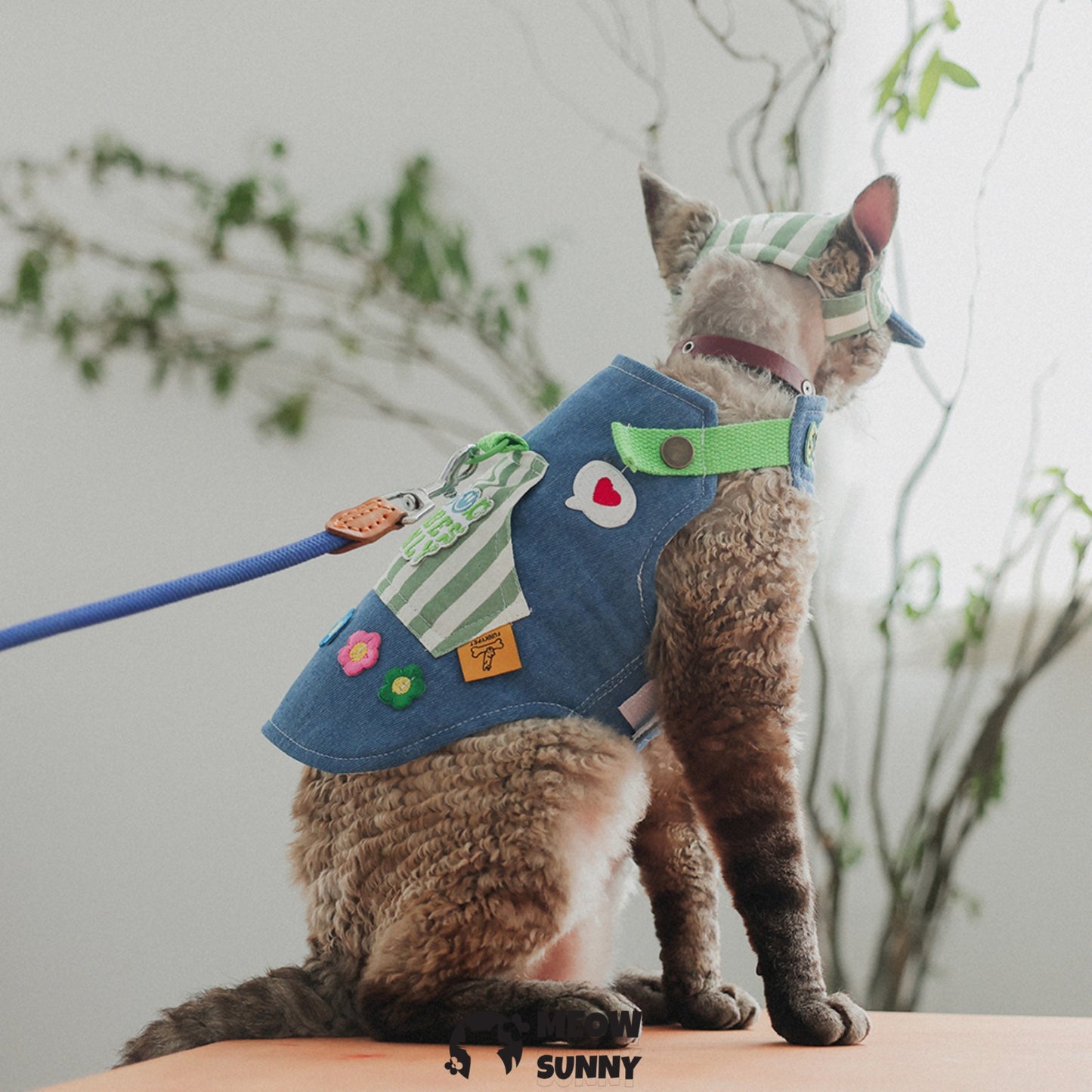 Cute denim trendy cat costume with hat /Leashes& Harnesses set