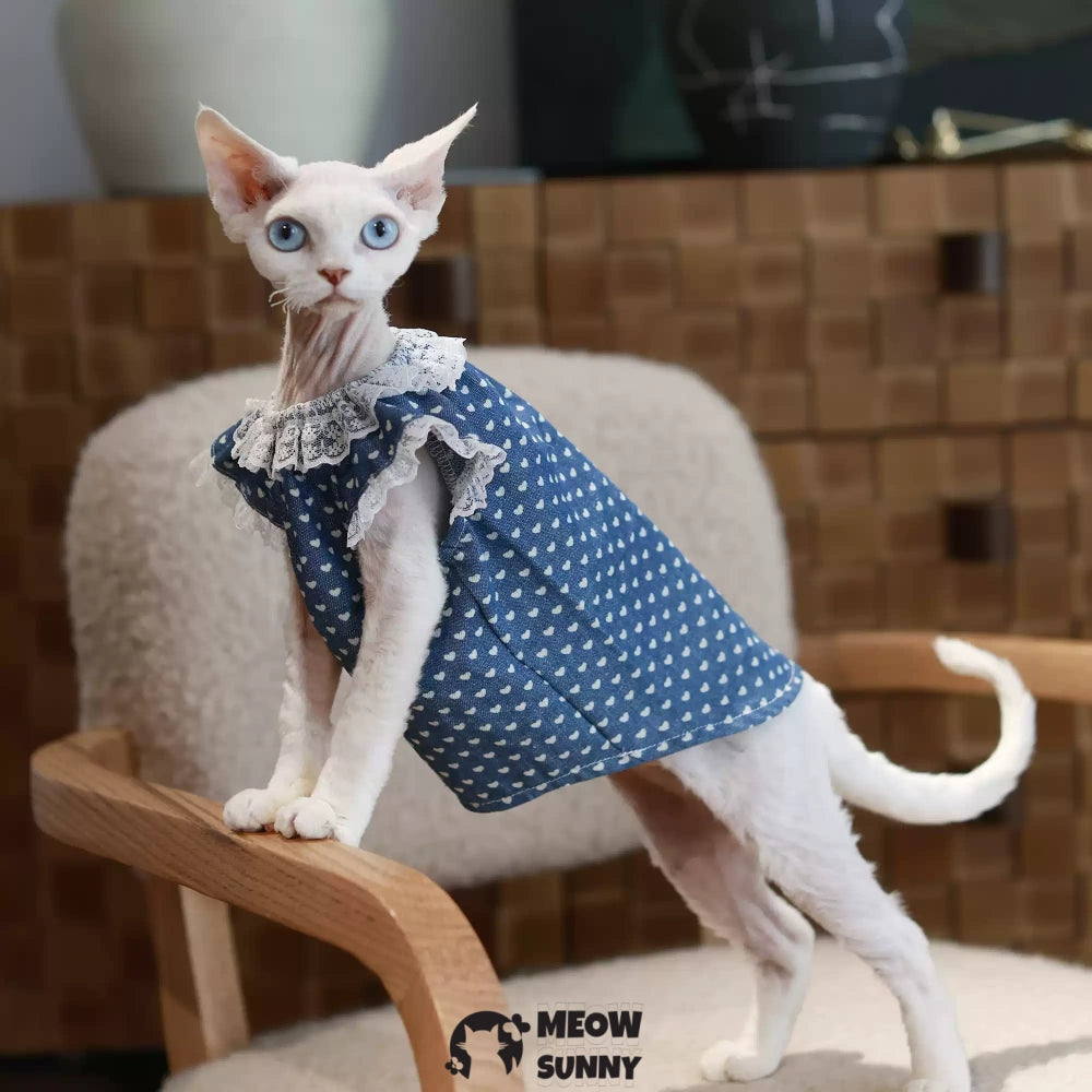 Sphynx Hairless Cat Clothes Cute Breathable lace Blue Dress