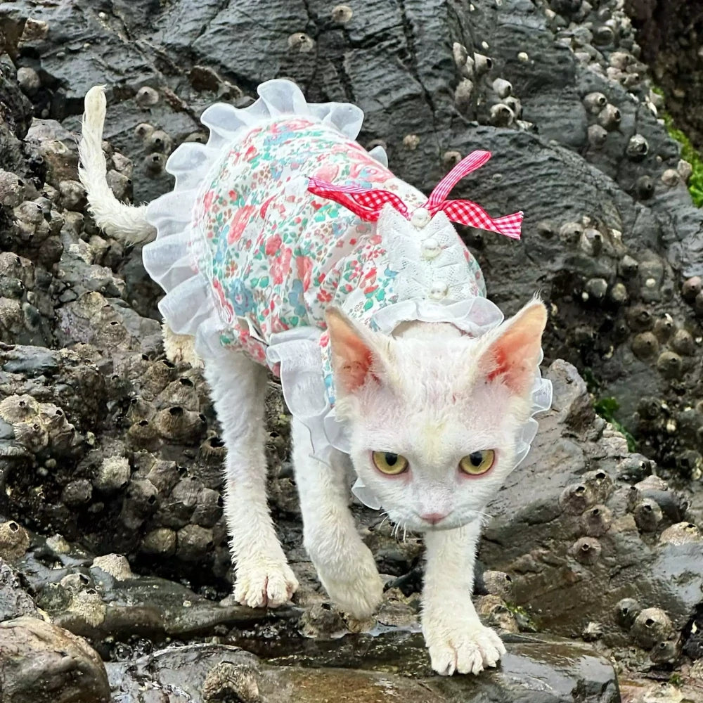 Hairless cat summer light and cool sleeveless floral cute dress