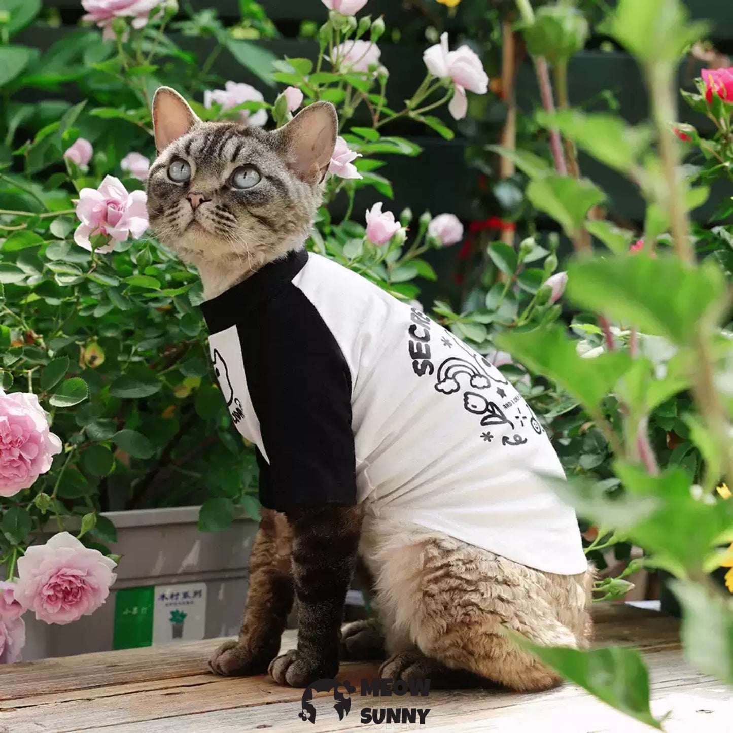 Summer Thin Cotton Breathable Cute Cat T-shirt
