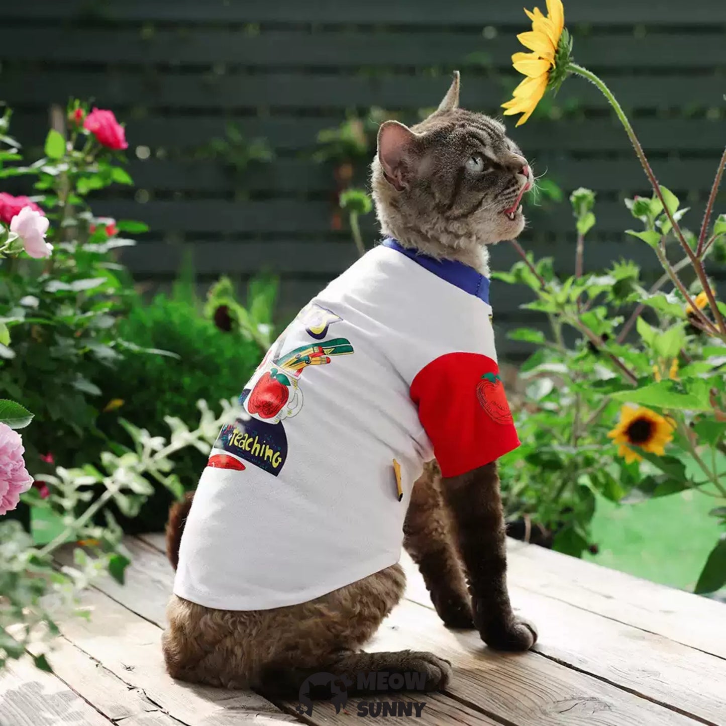 Summer Thin Cotton Breathable Trendy Printed Cat T-shirt