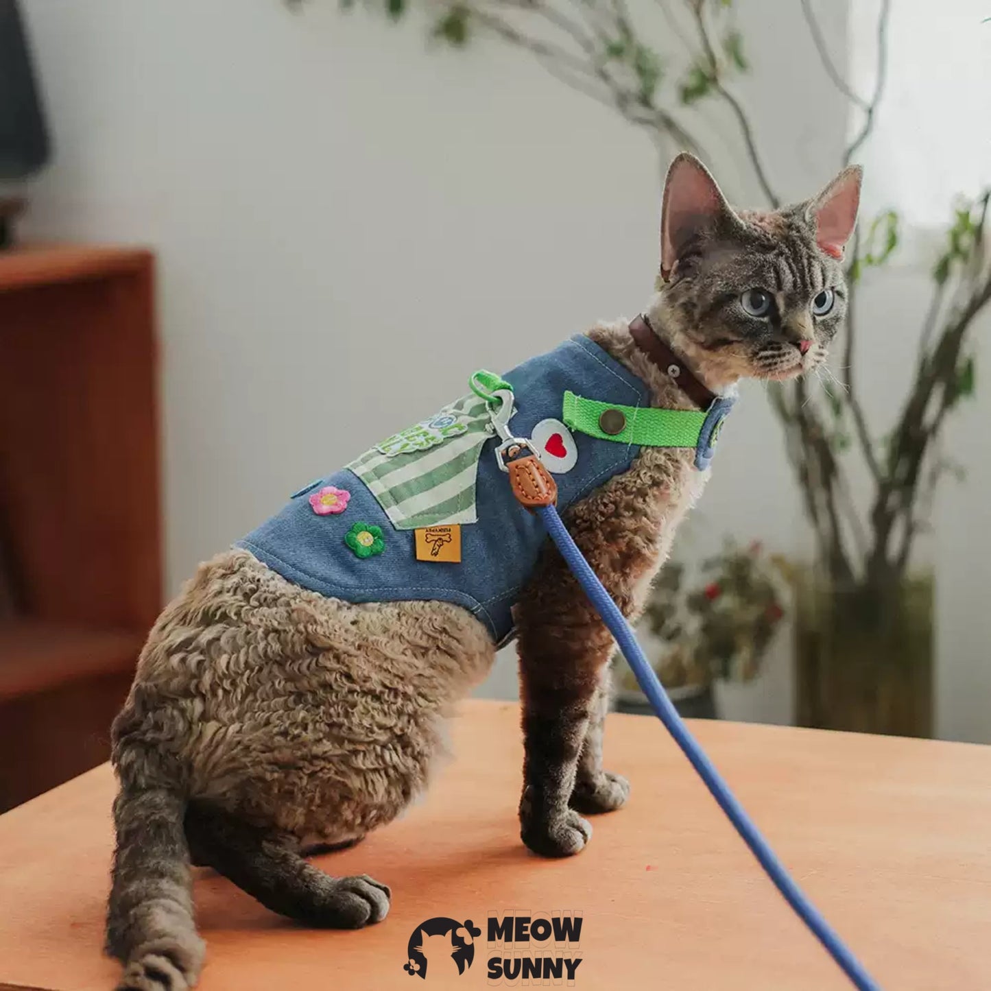 Cute denim trendy cat costume with hat /Leashes& Harnesses set