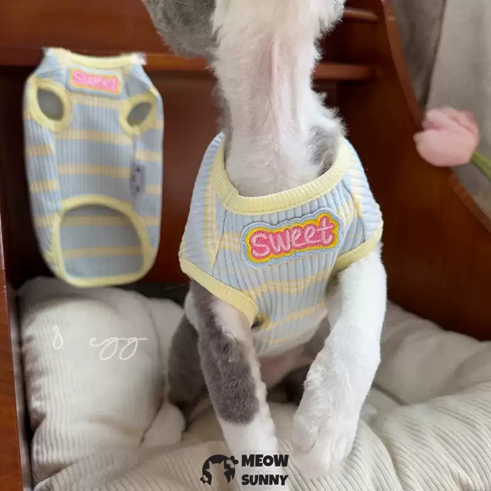 Sphynx Hairless Cat Blue and Yellow Striped Cute Summer Vest