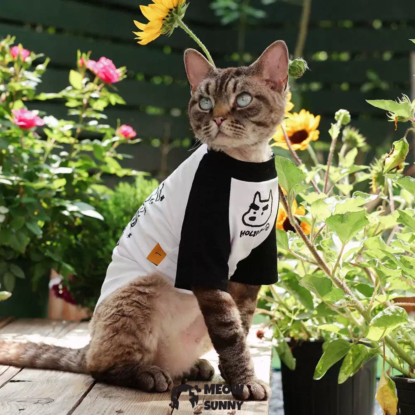 Summer Thin Cotton Breathable Cute Cat T-shirt