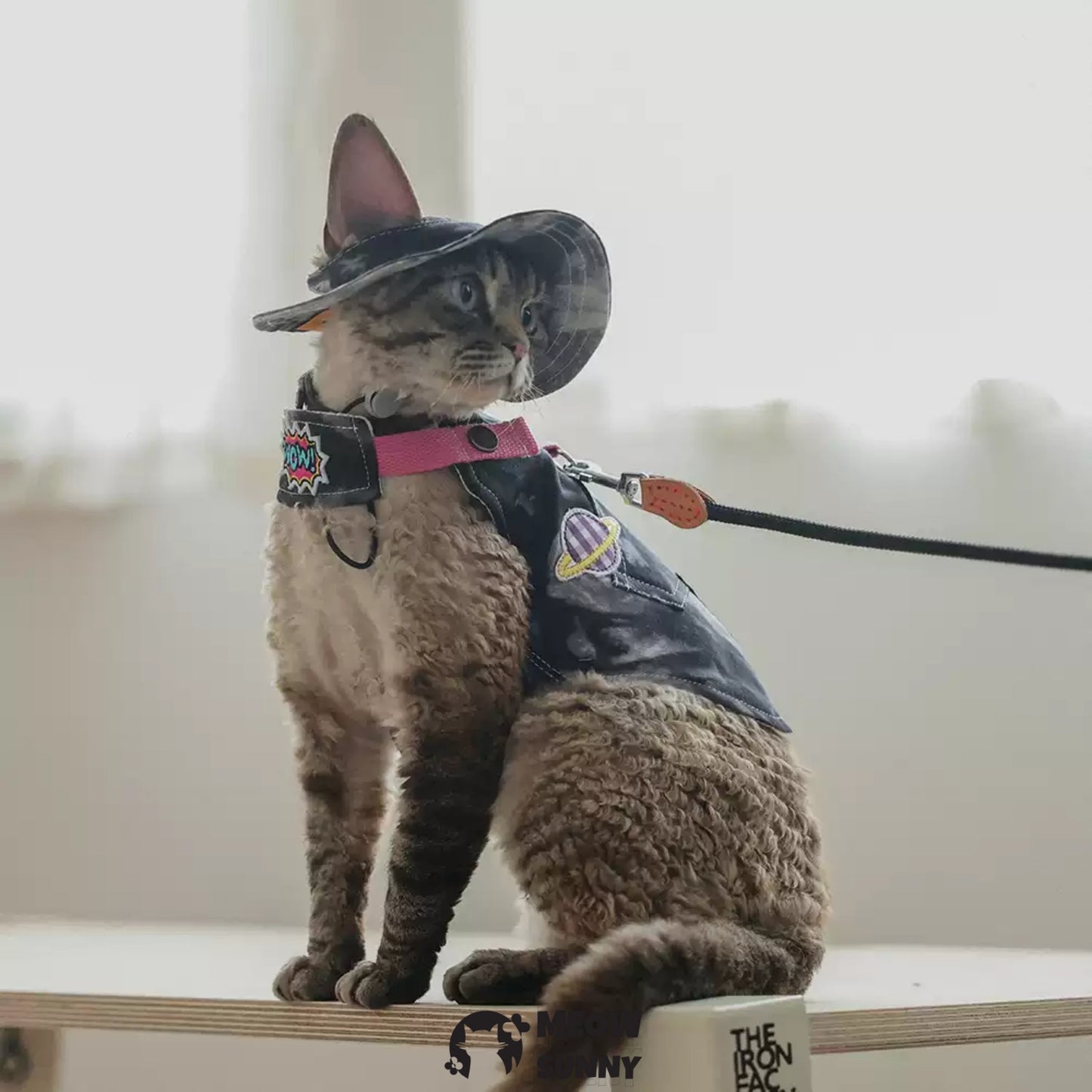 Outdoor Camping Tie-Dye Denim Cat Costume with hat /Leashes& Harnesses set