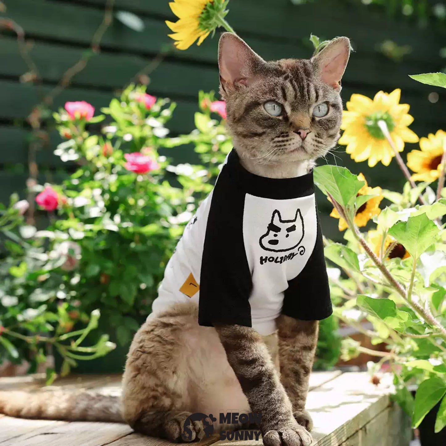 Summer Thin Cotton Breathable Cute Cat T-shirt
