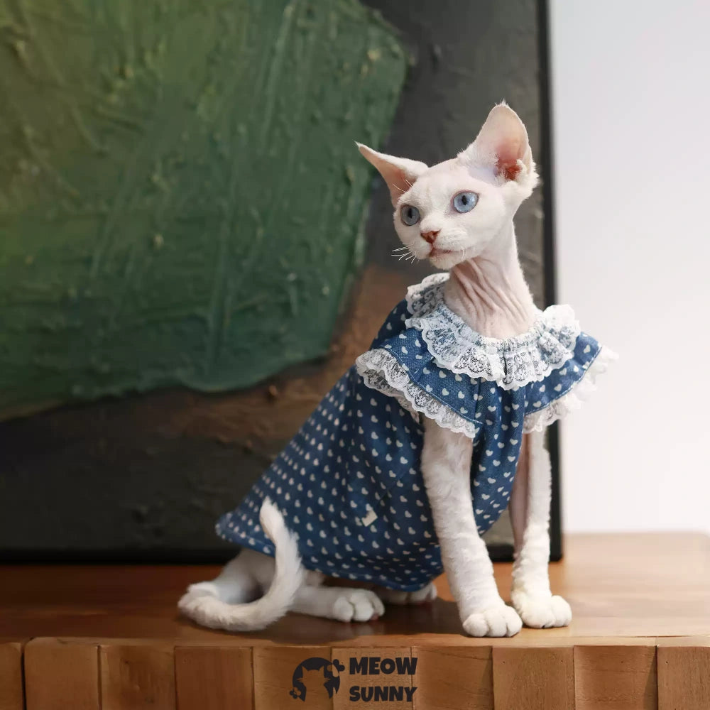 Sphynx Hairless Cat Clothes Cute Breathable lace Blue Dress