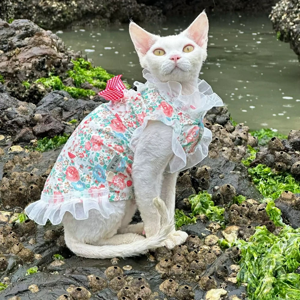 Hairless cat summer light and cool sleeveless floral cute dress
