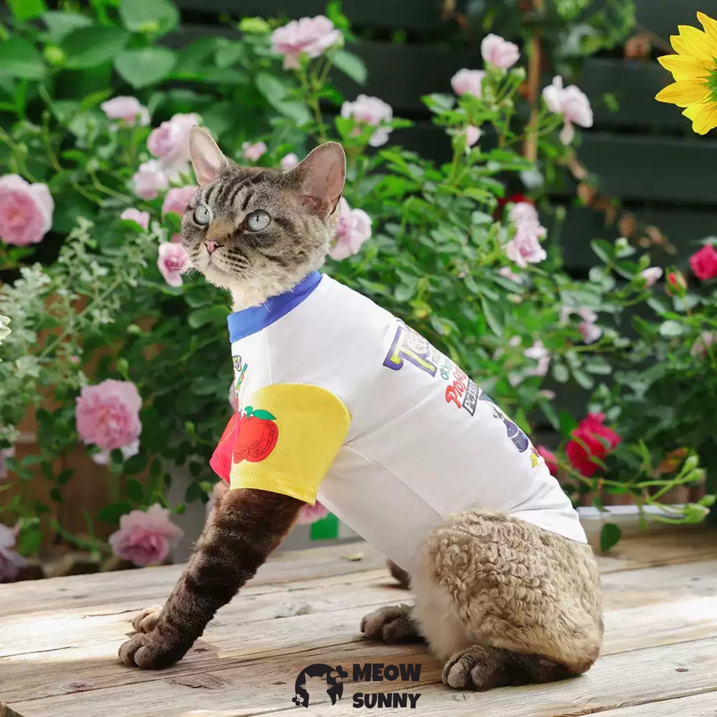 Summer Thin Cotton Breathable Trendy Printed Cat T-shirt