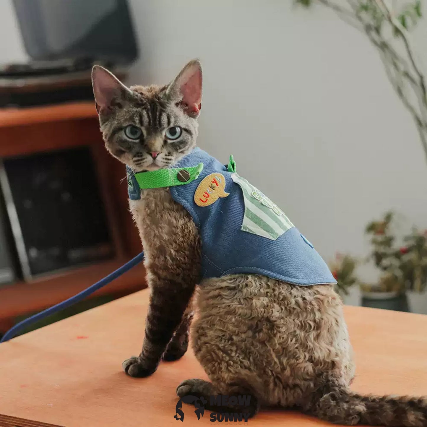 Cute denim trendy cat costume with hat /Leashes& Harnesses set