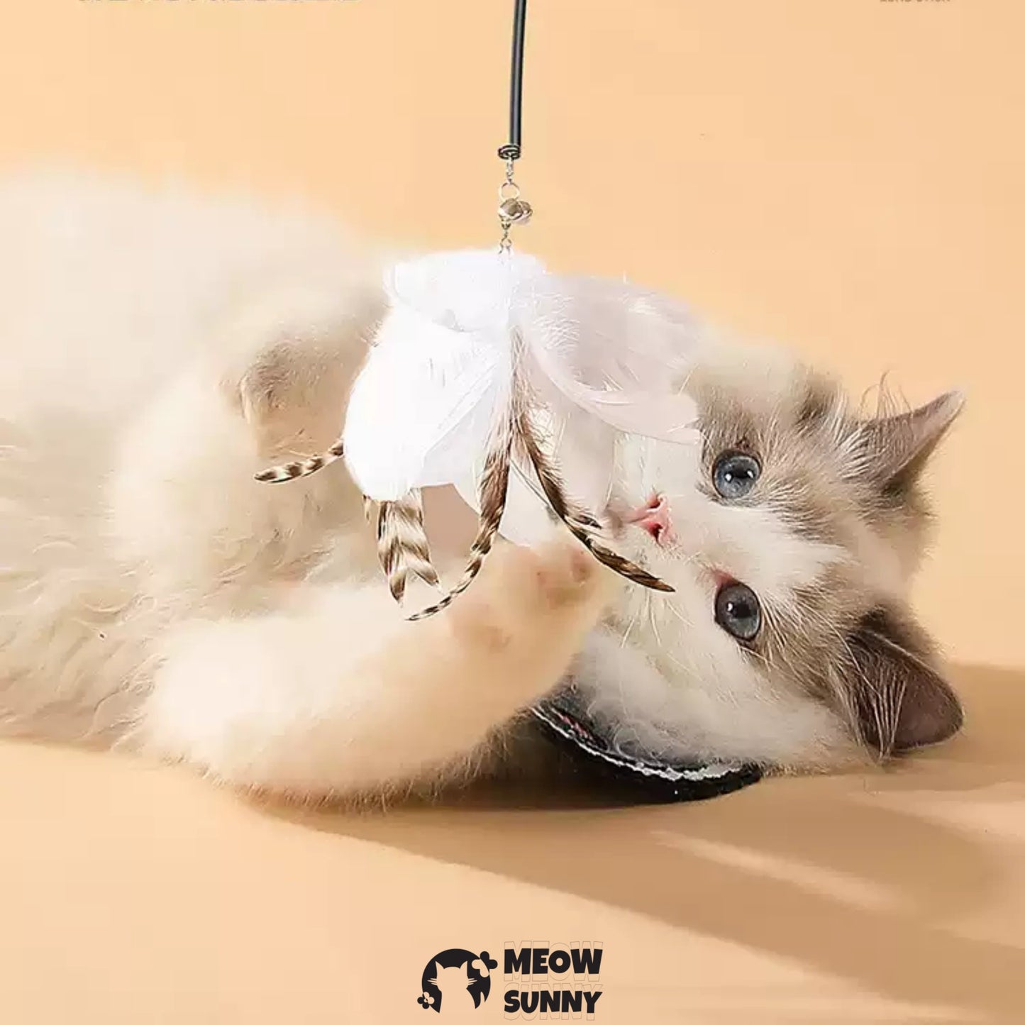 Interactive Cat Toys Natural Bird Feather