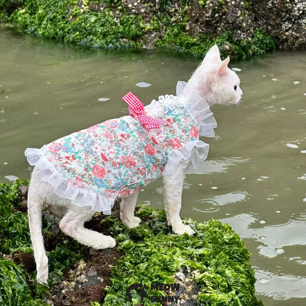 Hairless cat summer light and cool sleeveless floral cute dress