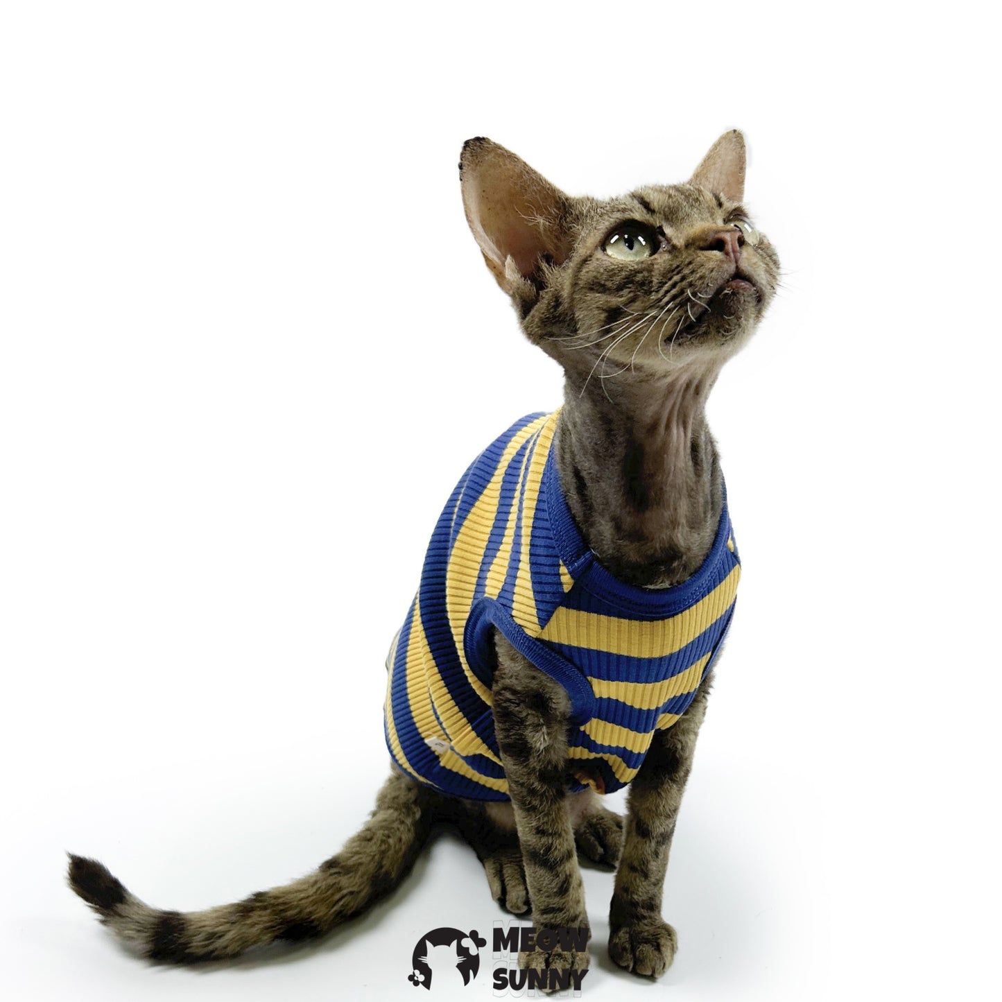 Striped Dog & Cat Polo Shirt, Yellow & Navy, Small