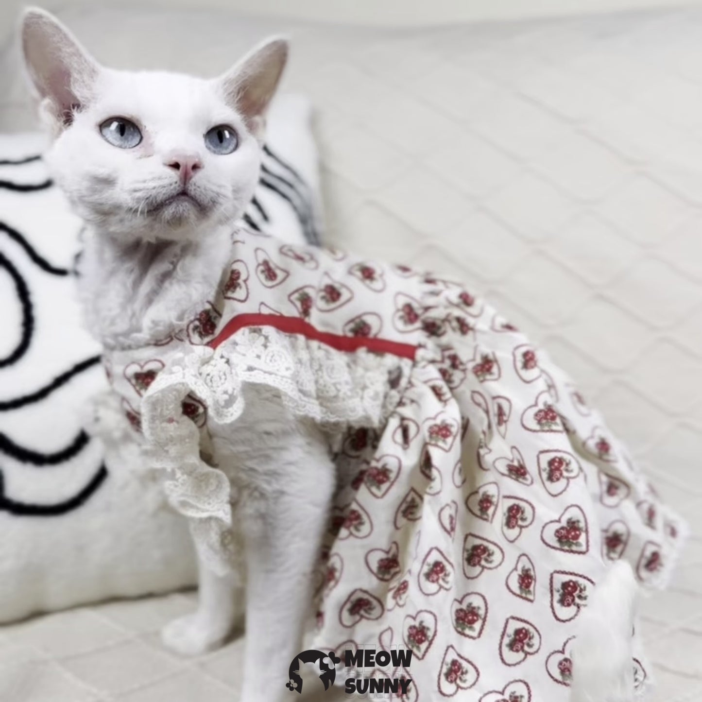 Sweet Heart Strawberry Cat and Dog Princess Dress