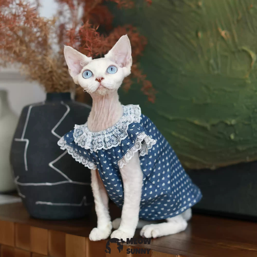 Sphynx Hairless Cat Clothes Cute Breathable lace Blue Dress