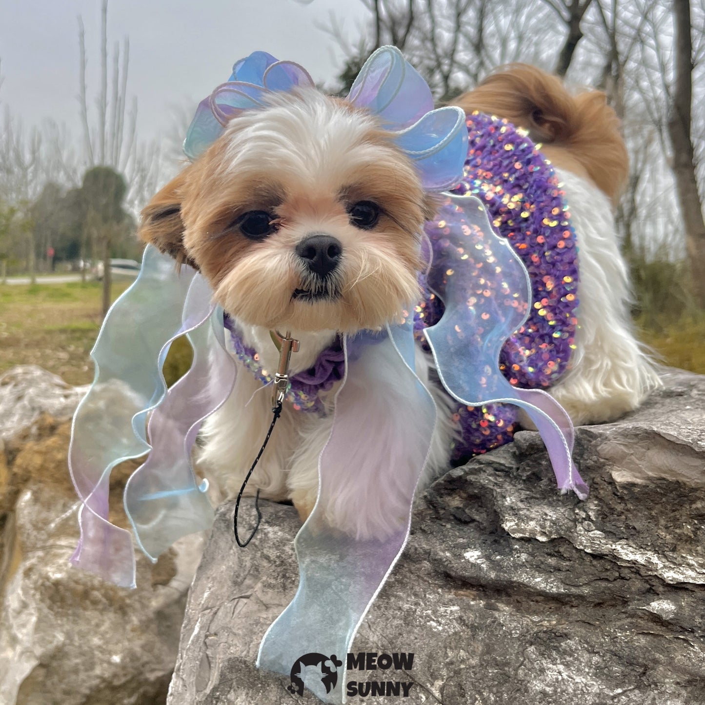 Colorful Bow Tie Cat & Dog Party Collar