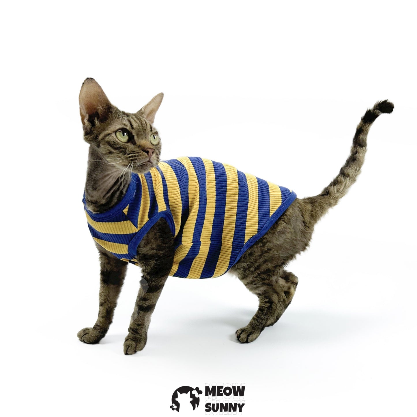 Striped Dog & Cat Polo Shirt, Yellow & Navy, Small