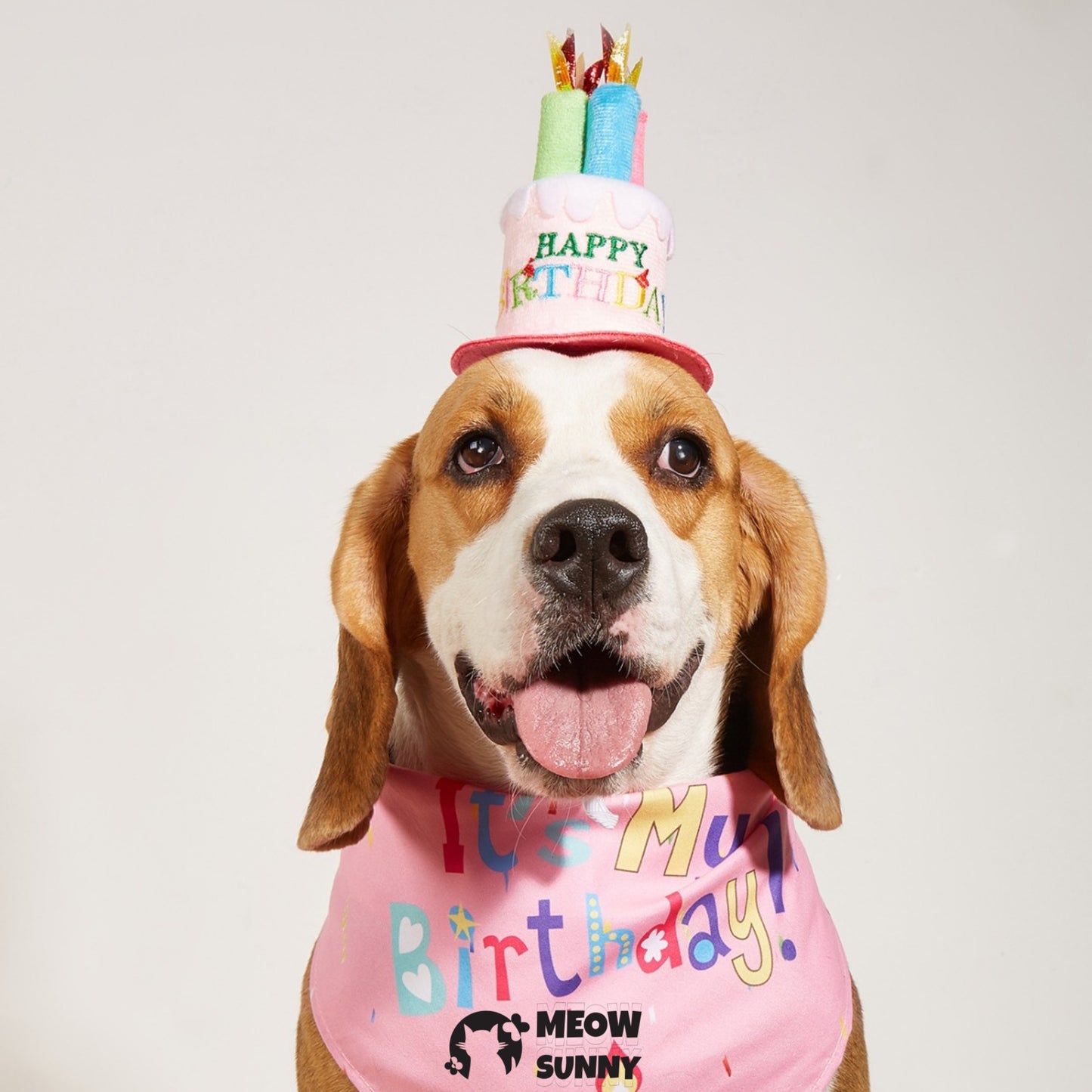 Birthday Cake Dog & Cat Hat with Triangle Bib, Medium