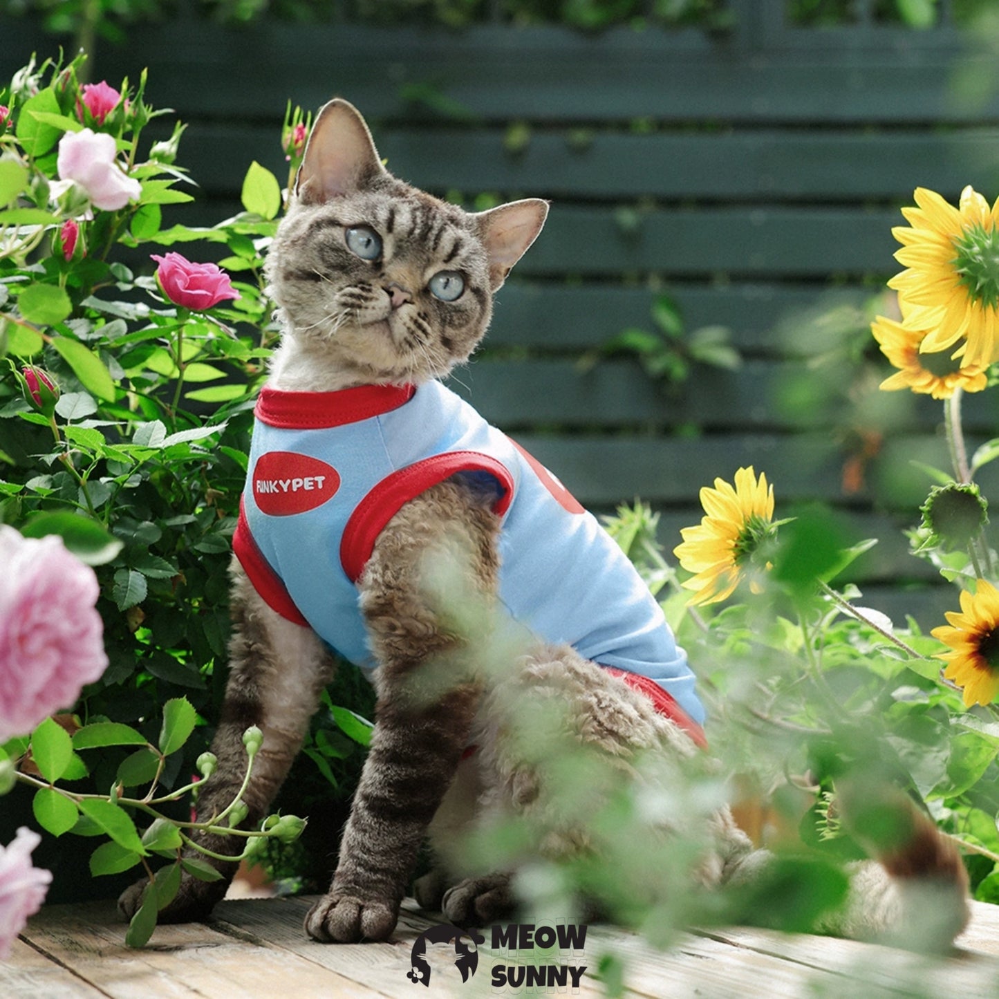 Summer thin cotton breathable red and blue cat vest
