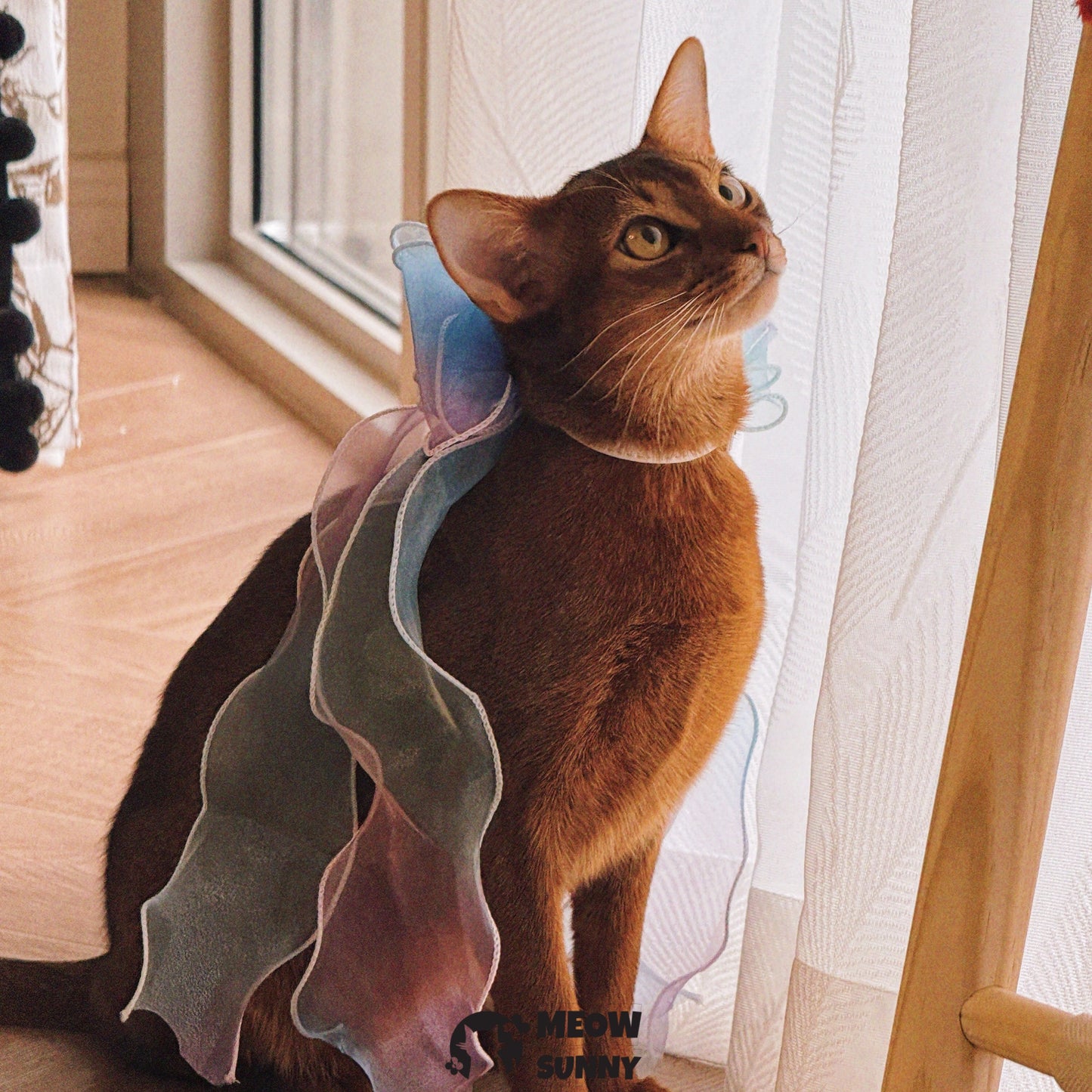 Colorful Bow Tie Cat & Dog Party Collar