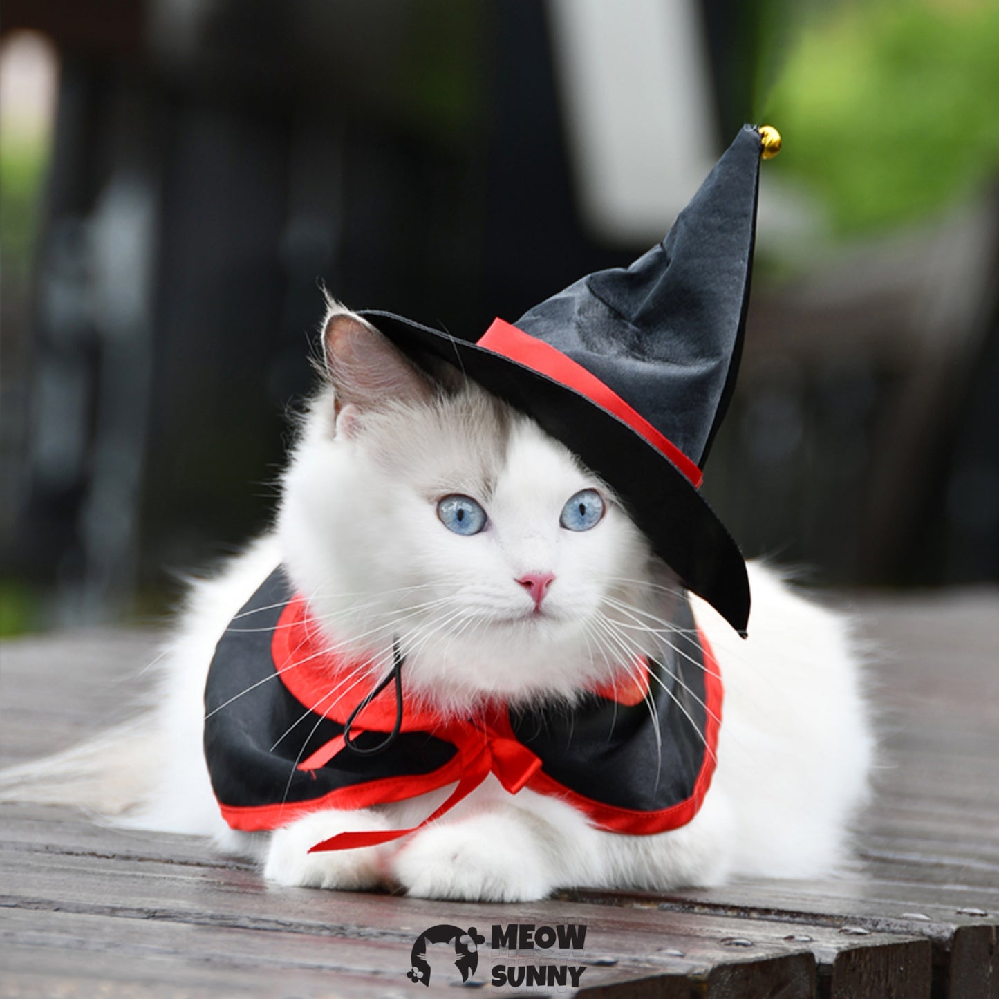 Halloween Pet Costume Cat Funny Wizard Cat Clothes Cloak and Hat