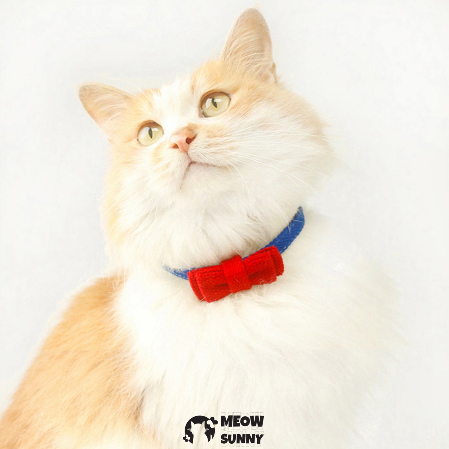 Fashion Bowknot Pet Dog*Cat Collar