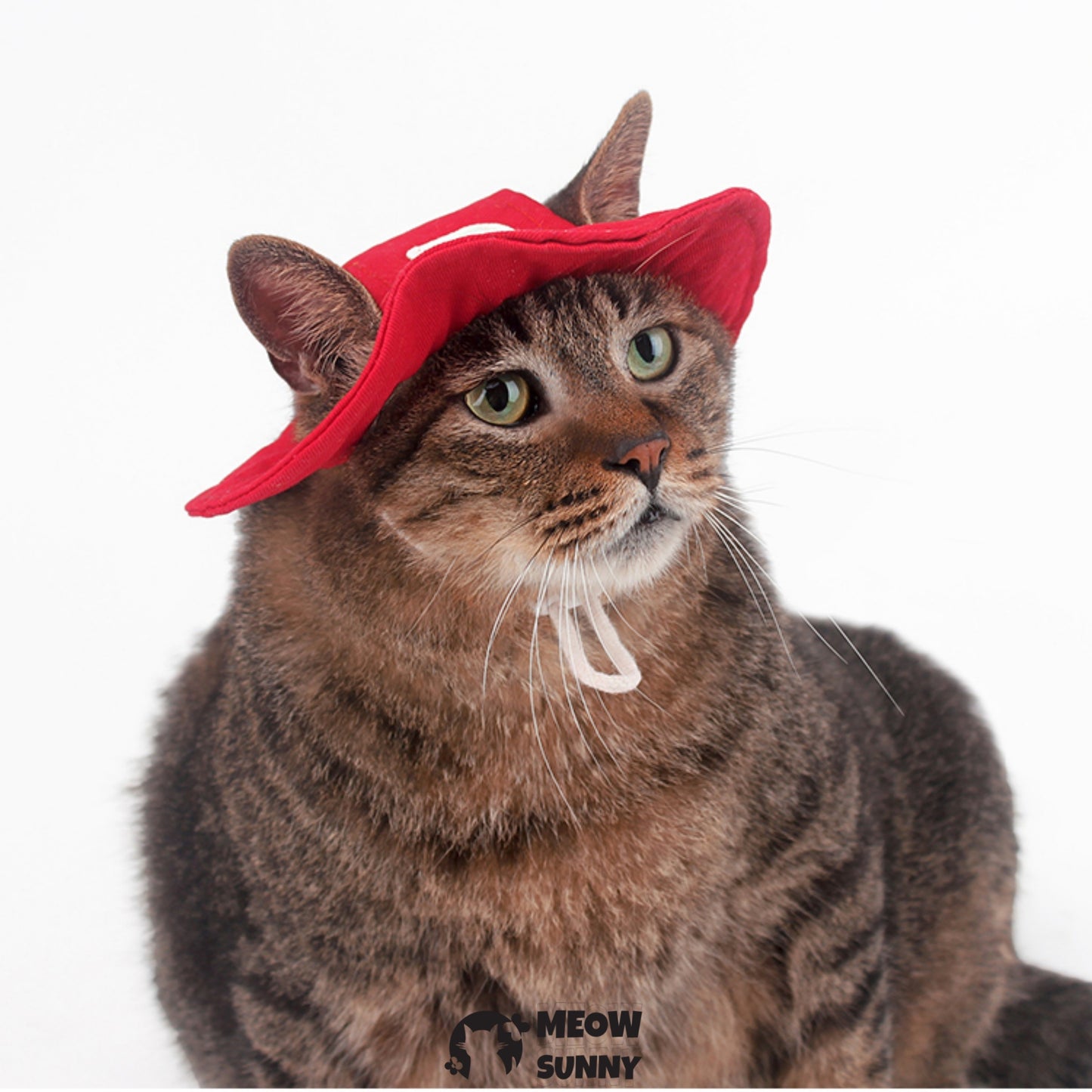 Simple UPF 50+ Alphabet B Cat and Dog Hat