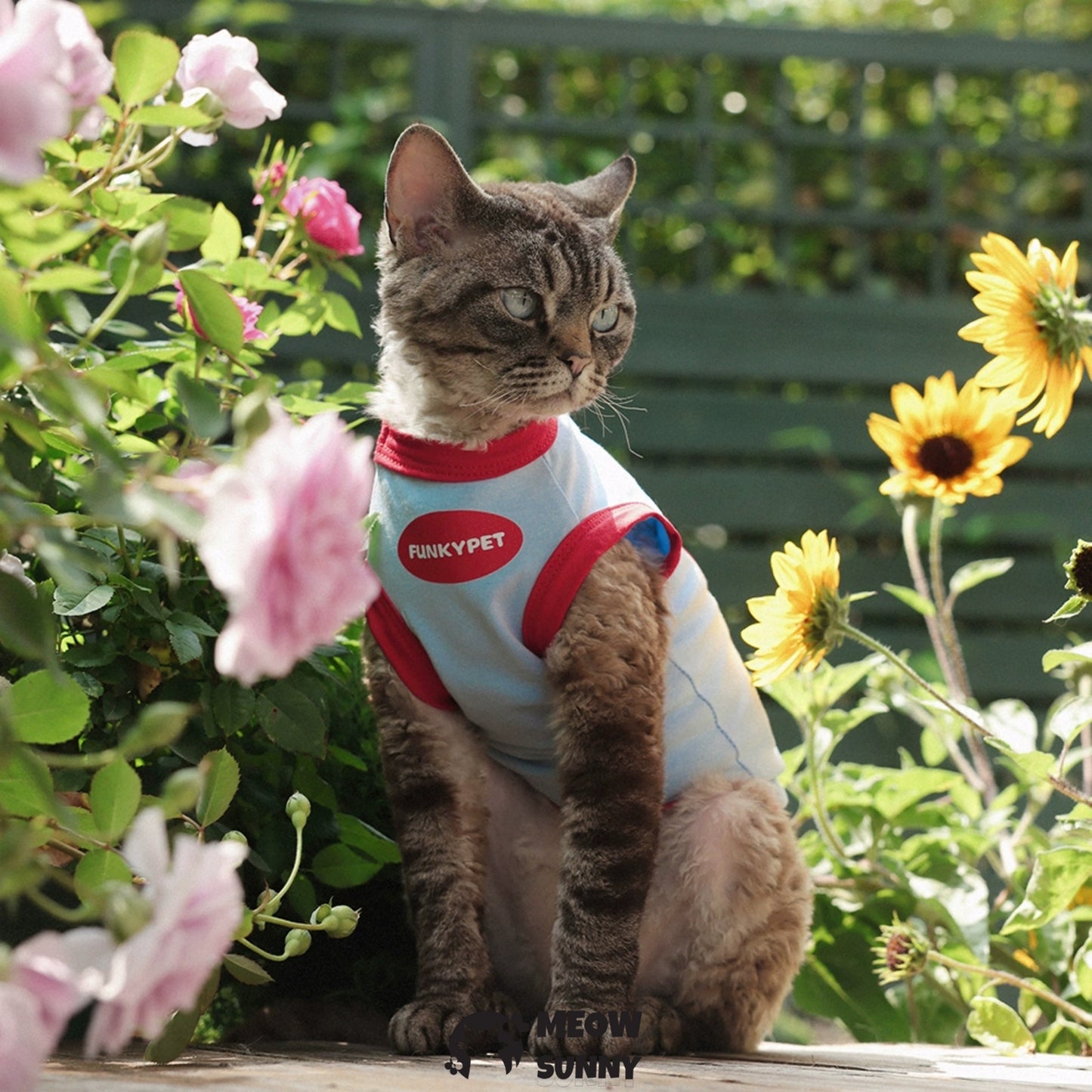Summer thin cotton breathable red and blue cat vest