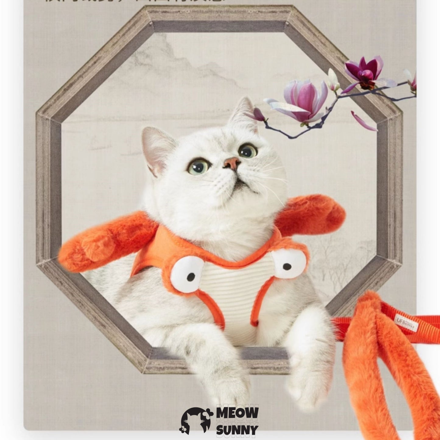 Crab shape Cat&dog Harness/Bungee Leash