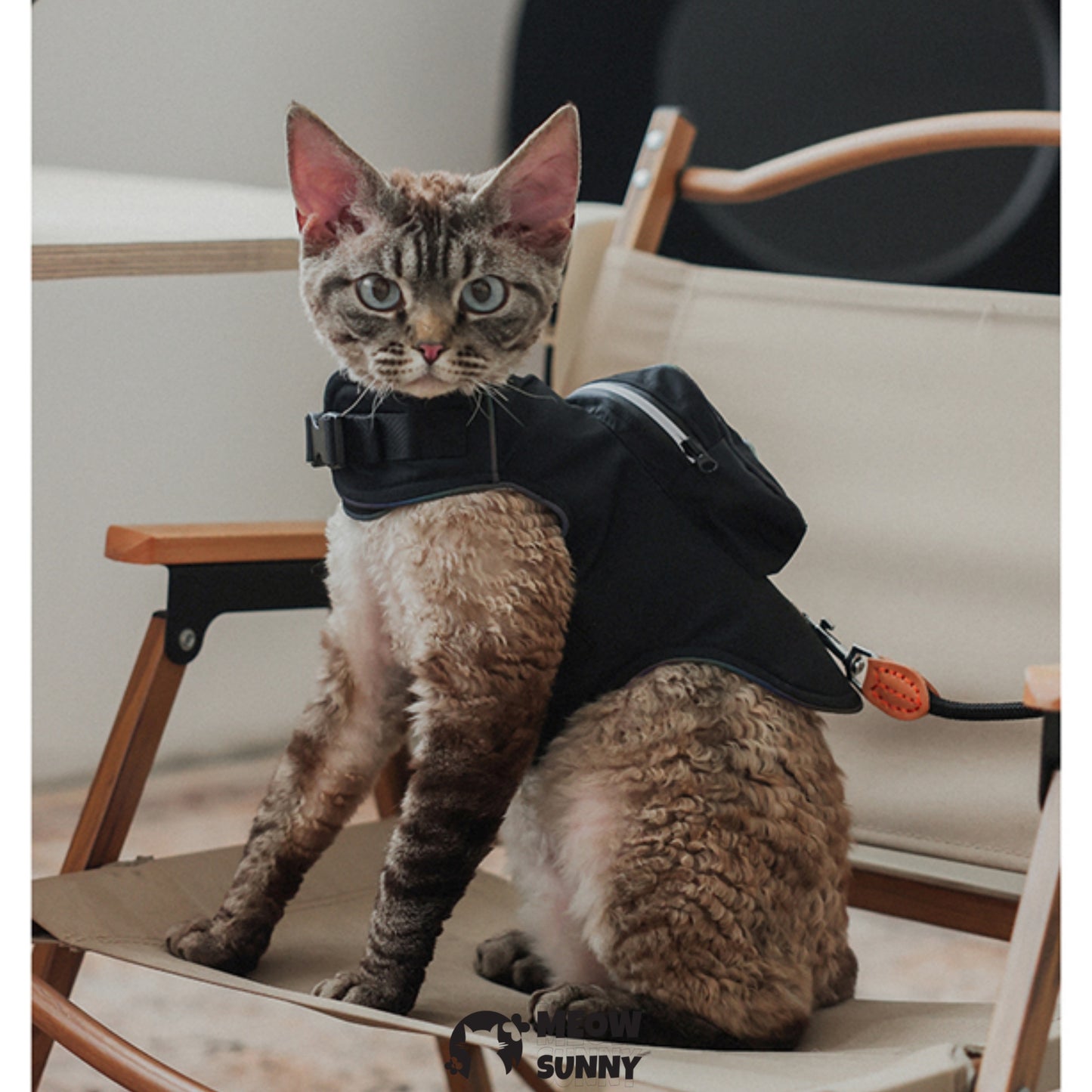 Summer outdoor fashion backpack denim cat vest with hat /Leashes& Harnesses set