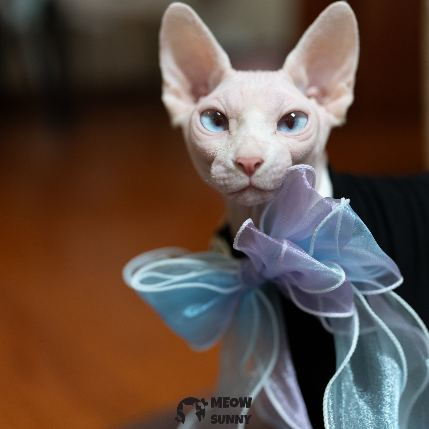 Colorful Bow Tie Cat & Dog Party Collar