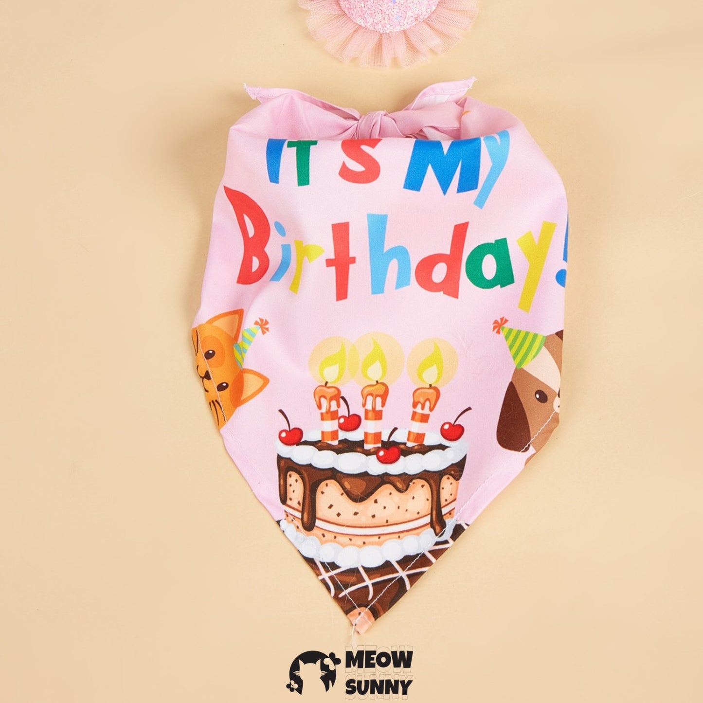 Happy Birthday Dog & Cat Hat and Triangle Bib, Medium