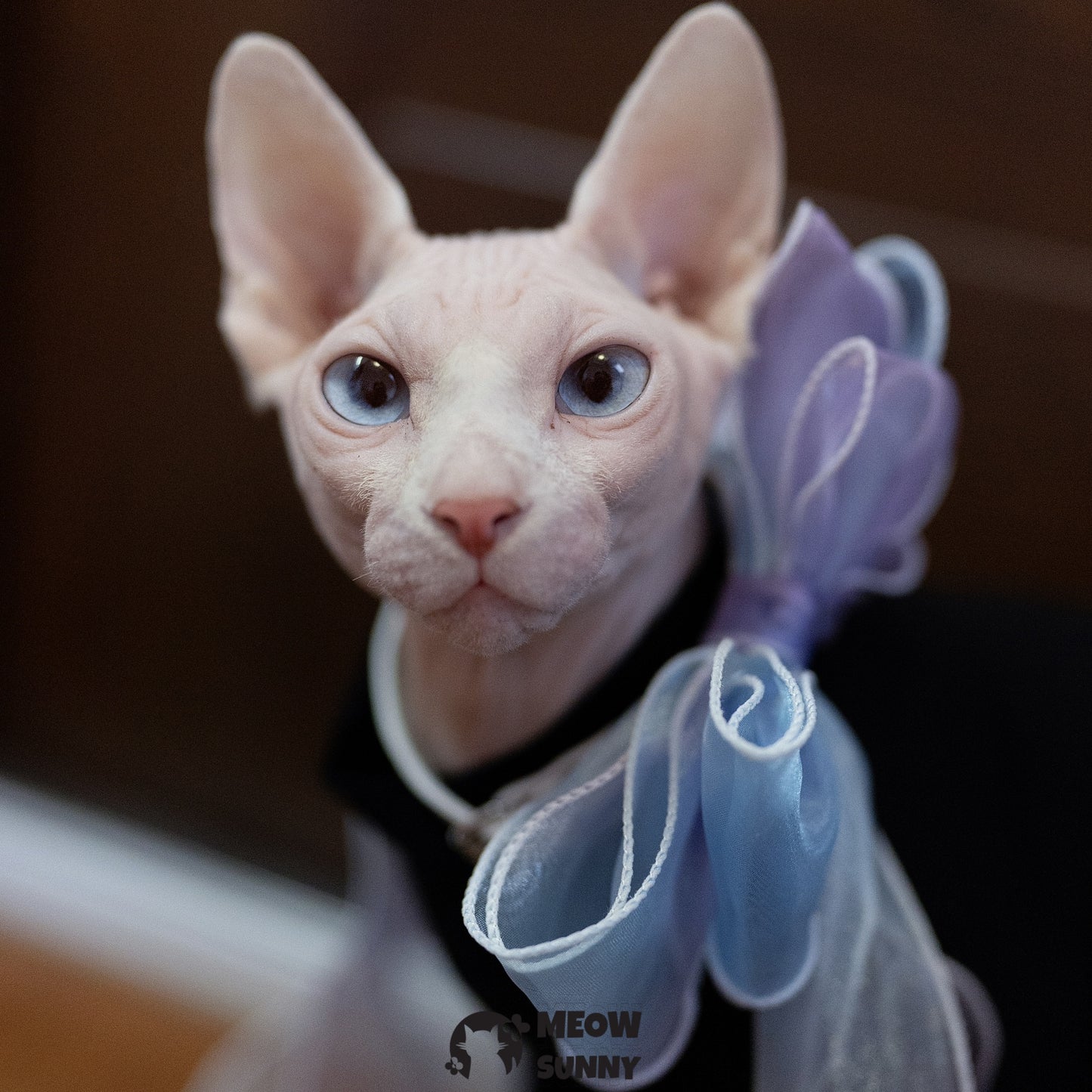 Colorful Bow Tie Cat & Dog Party Collar