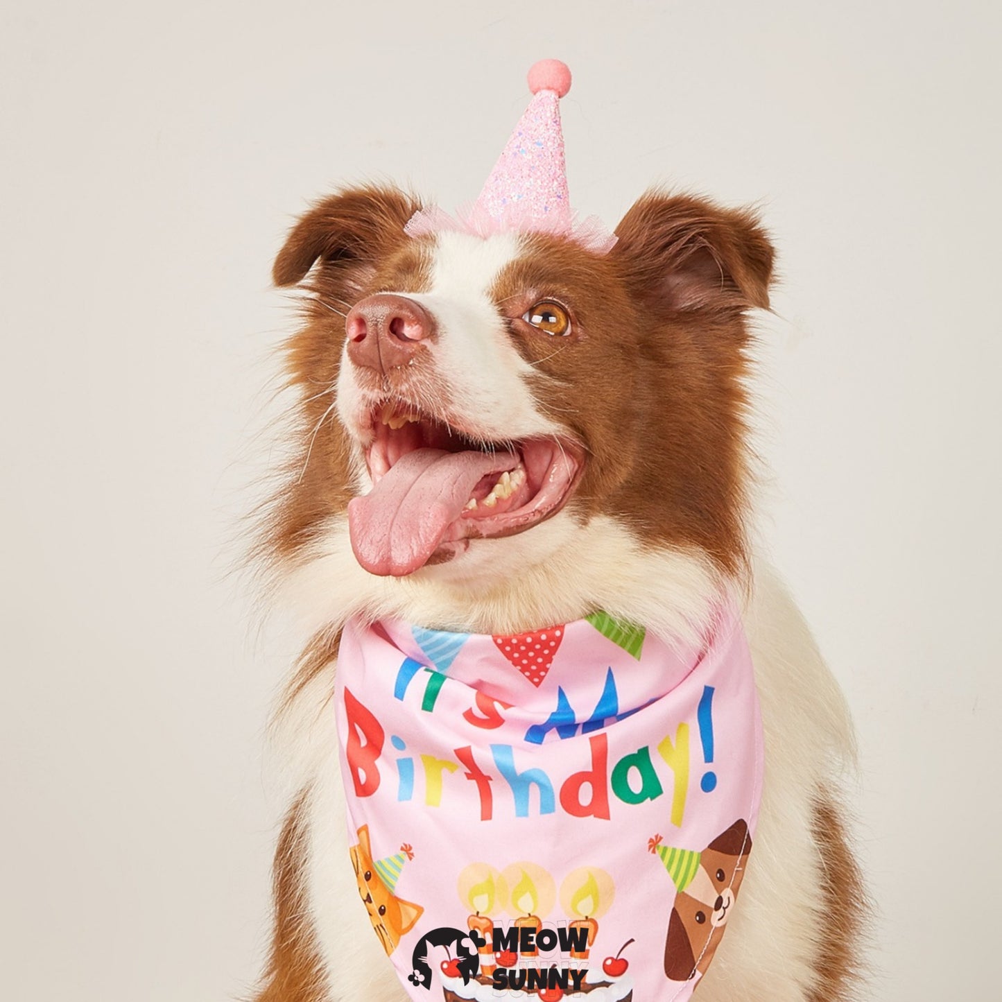 Happy Birthday Dog & Cat Hat and Triangle Bib, Medium