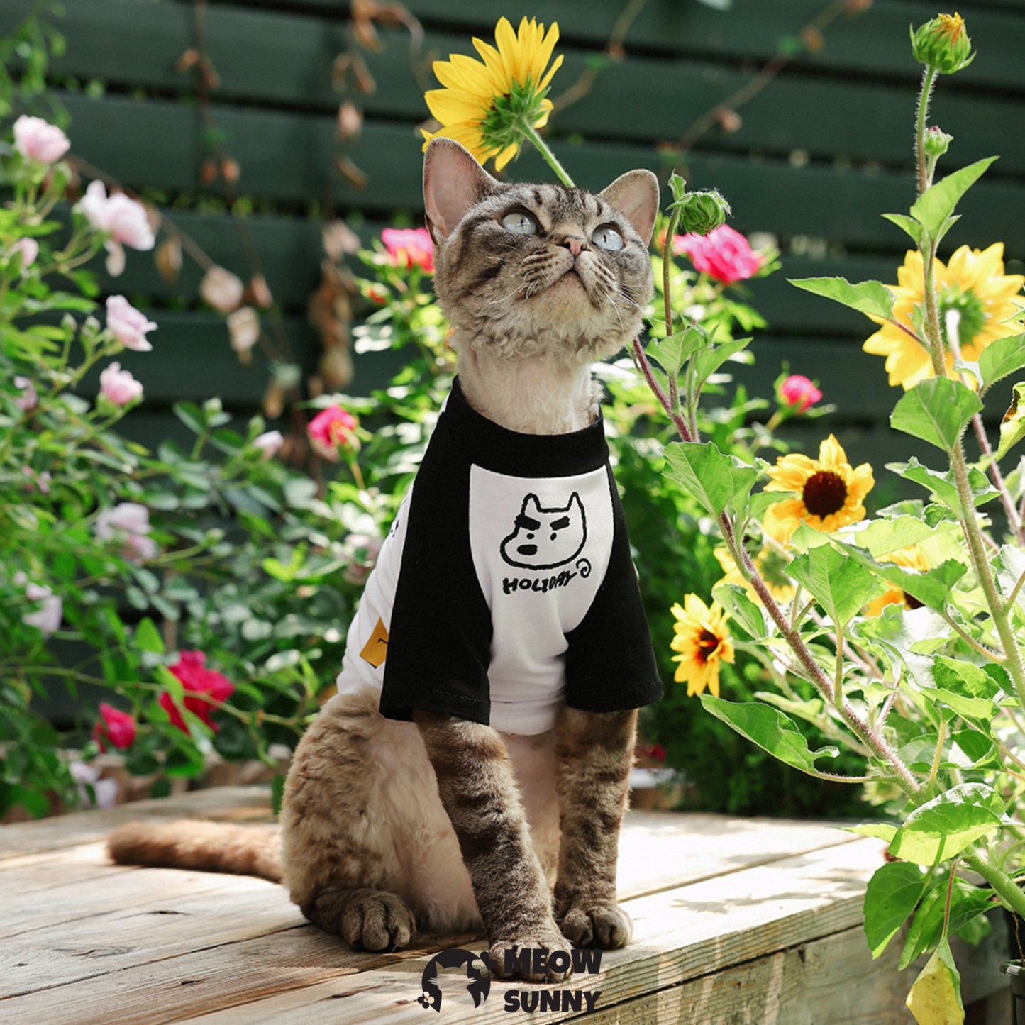 Summer Thin Cotton Breathable Cute Cat T-shirt