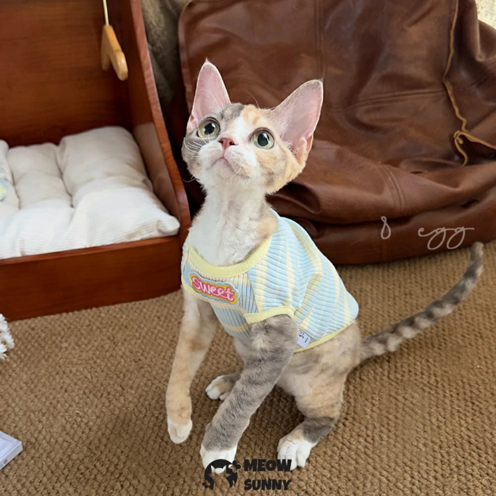 Sphynx Hairless Cat Blue and Yellow Striped Cute Summer Vest