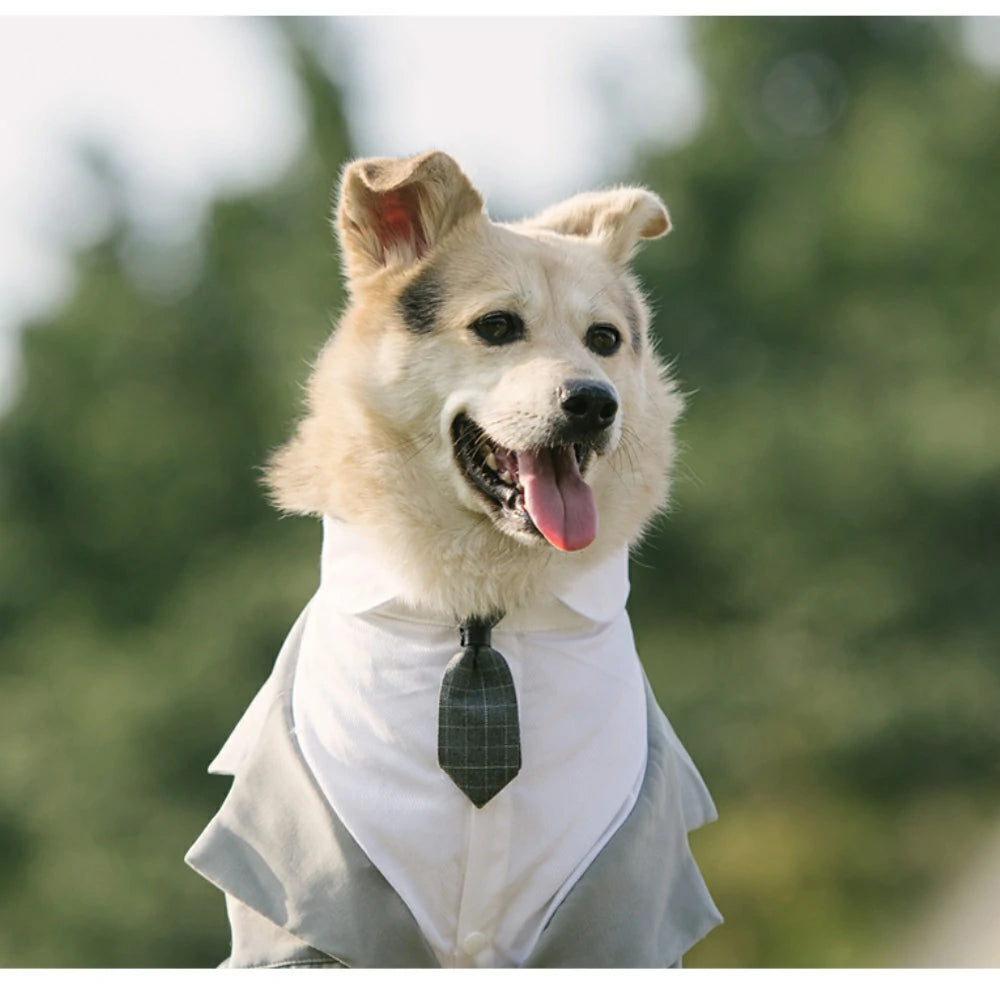 Dog suit dress tuxedo big dog wedding suit