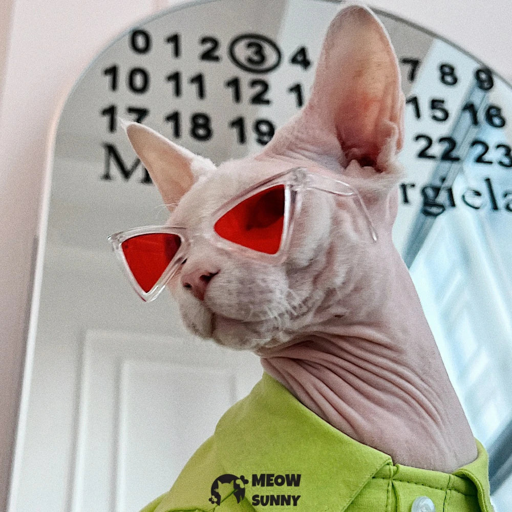 Hairless cat pure cotton multi-color POLO shirt spring skin-friendly