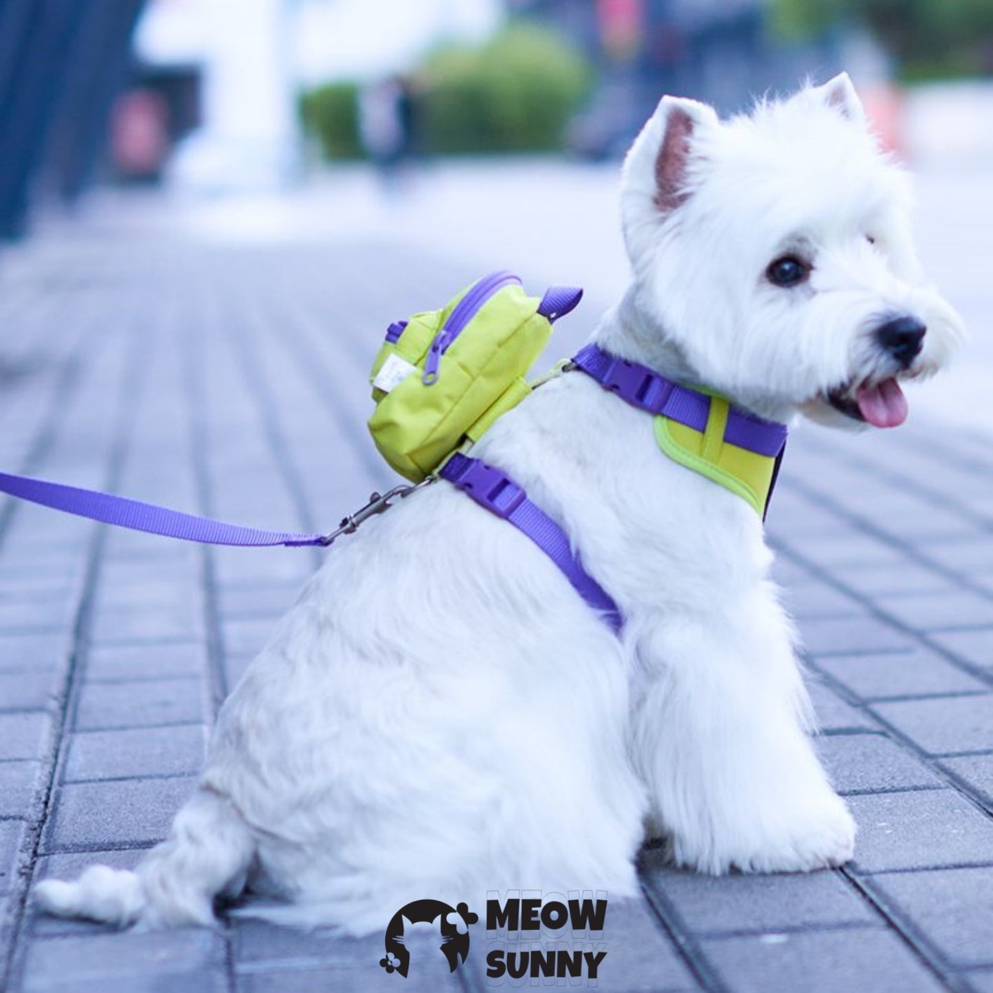 Nylon Dog Harnesses Tow Rope with Small Bag