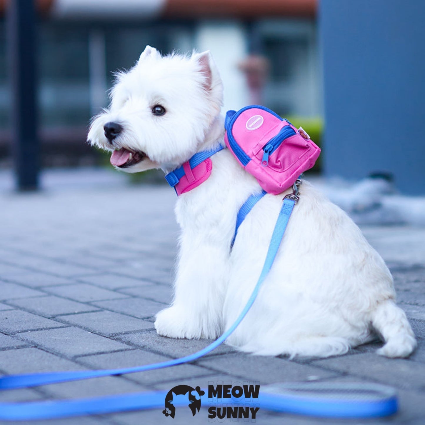 Nylon Dog Harnesses Tow Rope with Small Bag