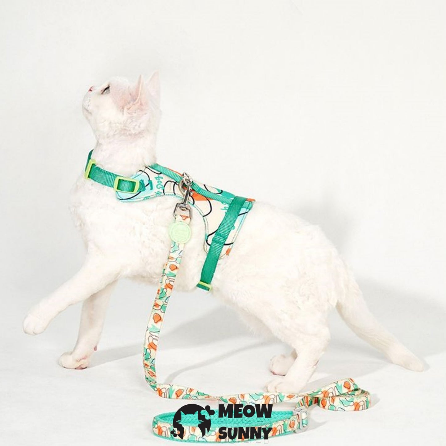 PetSafe Come with Me Kitty Nylon Cat Harness & Bungee Leash