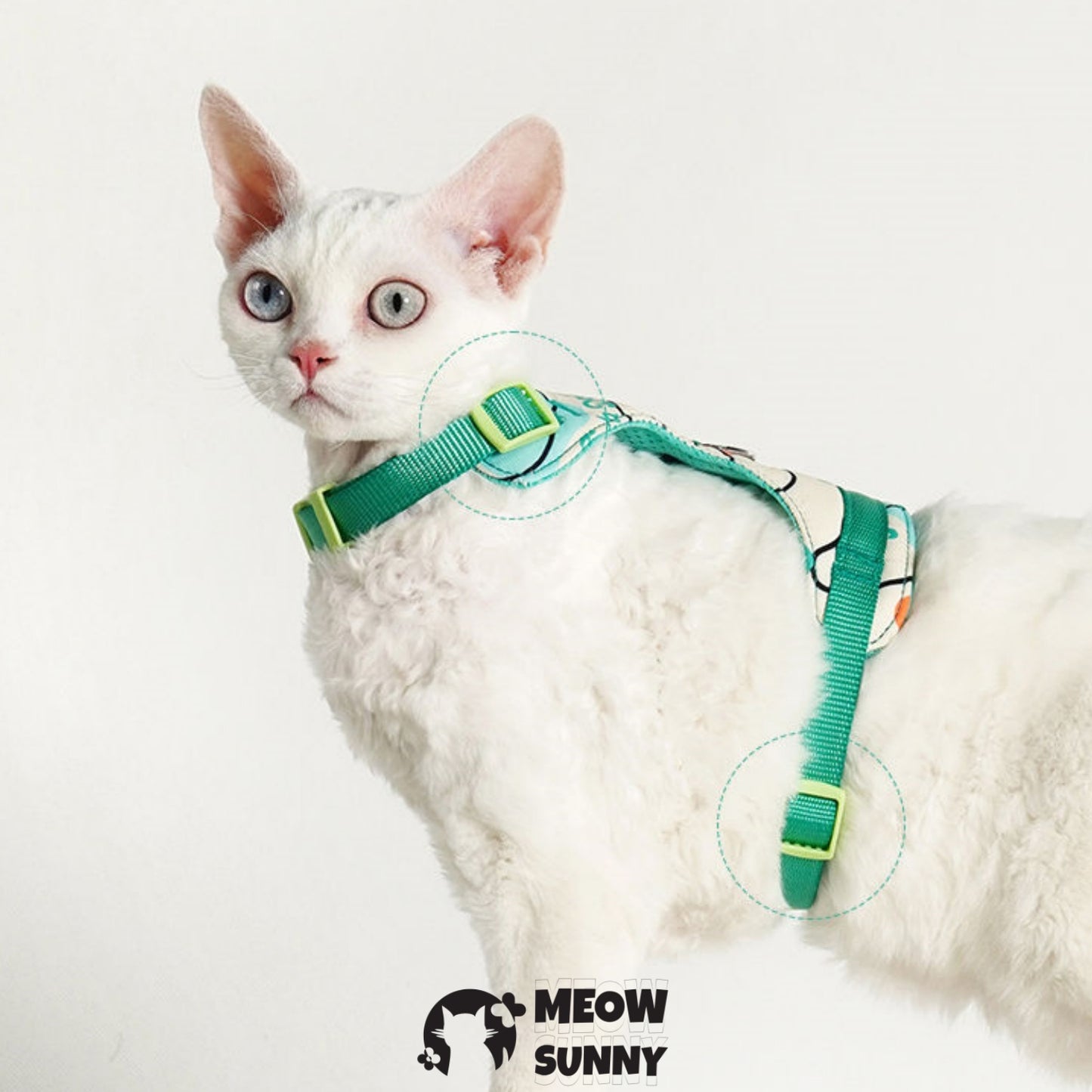 PetSafe Come with Me Kitty Nylon Cat Harness & Bungee Leash