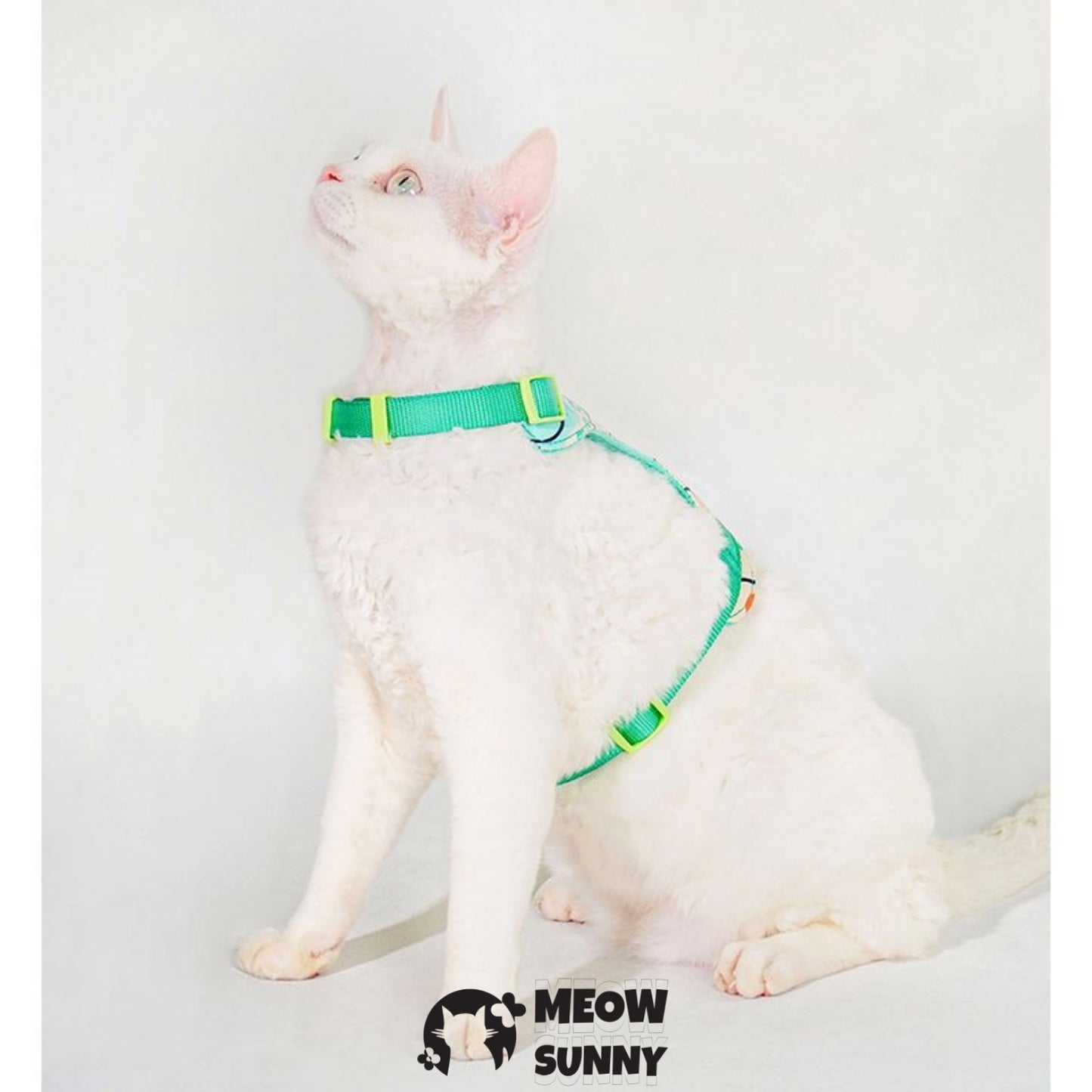 PetSafe Come with Me Kitty Nylon Cat Harness & Bungee Leash