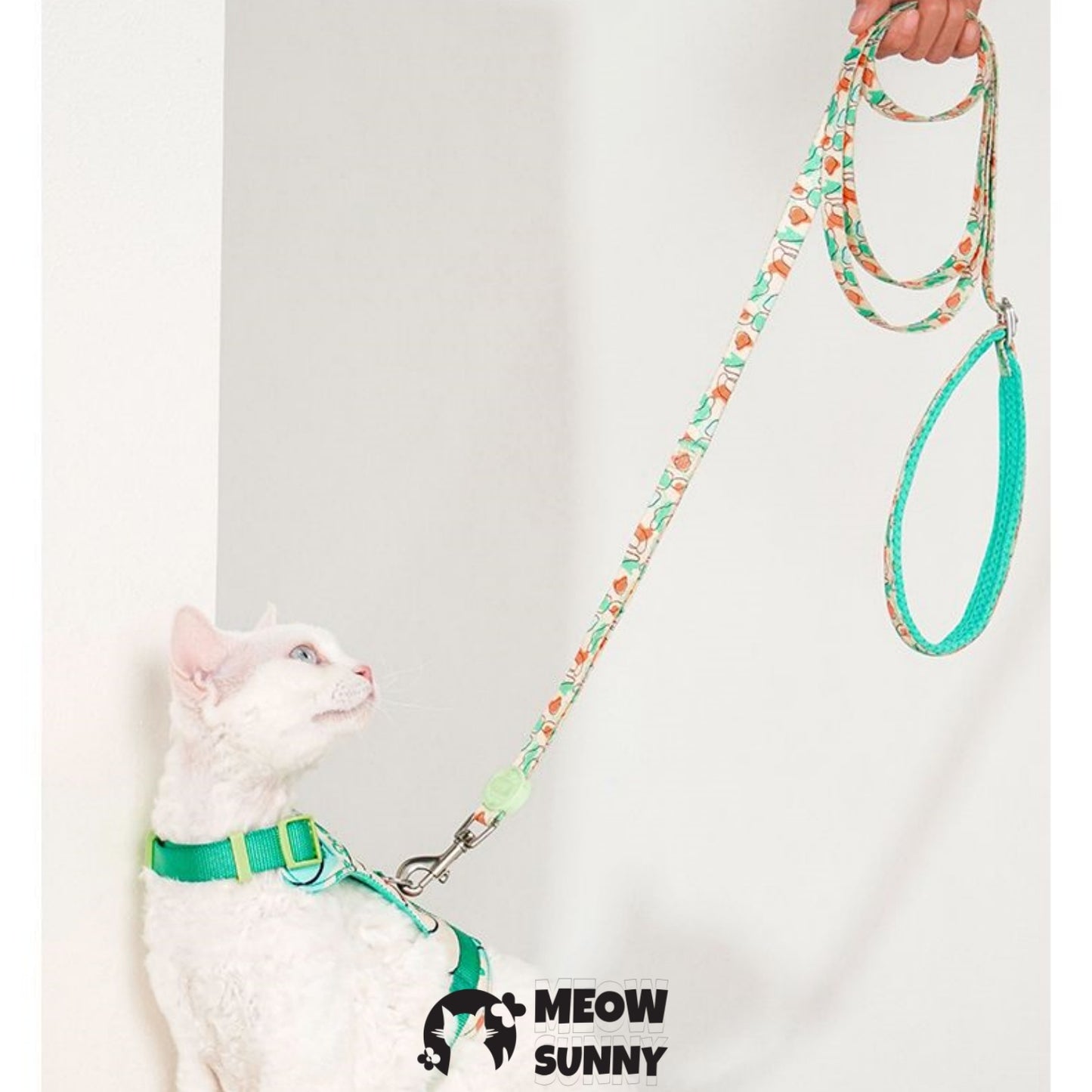 PetSafe Come with Me Kitty Nylon Cat Harness & Bungee Leash