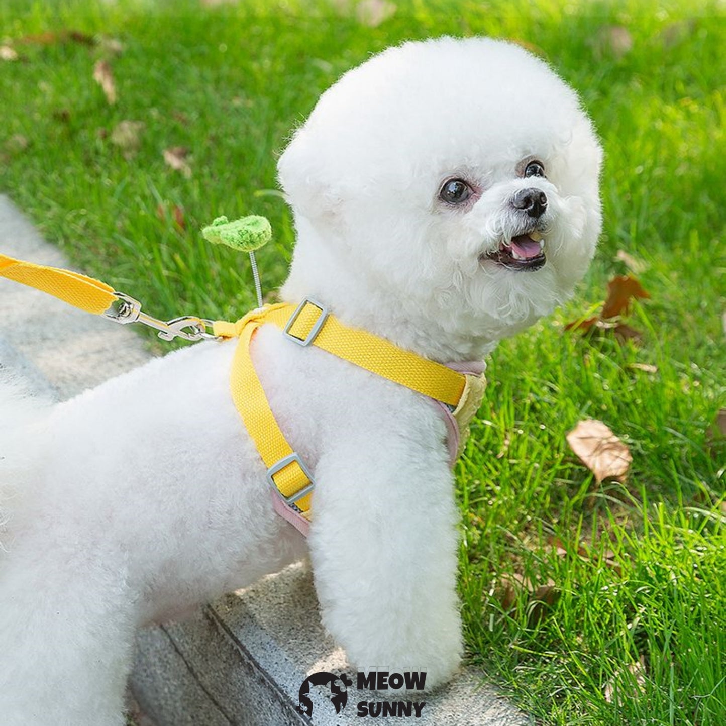 Summer Colorful Flowers Leash Harness Pets to Go Out with Harness & Leash