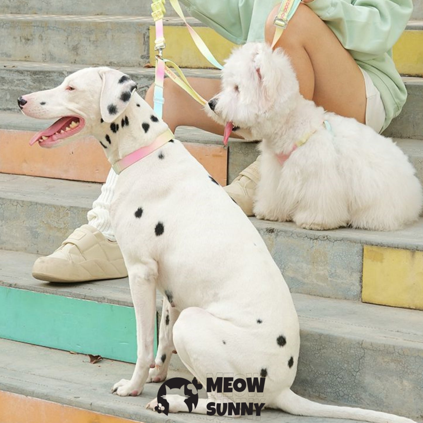 Escape Free Easy Fit Dog Harness, Colorful,1.2M