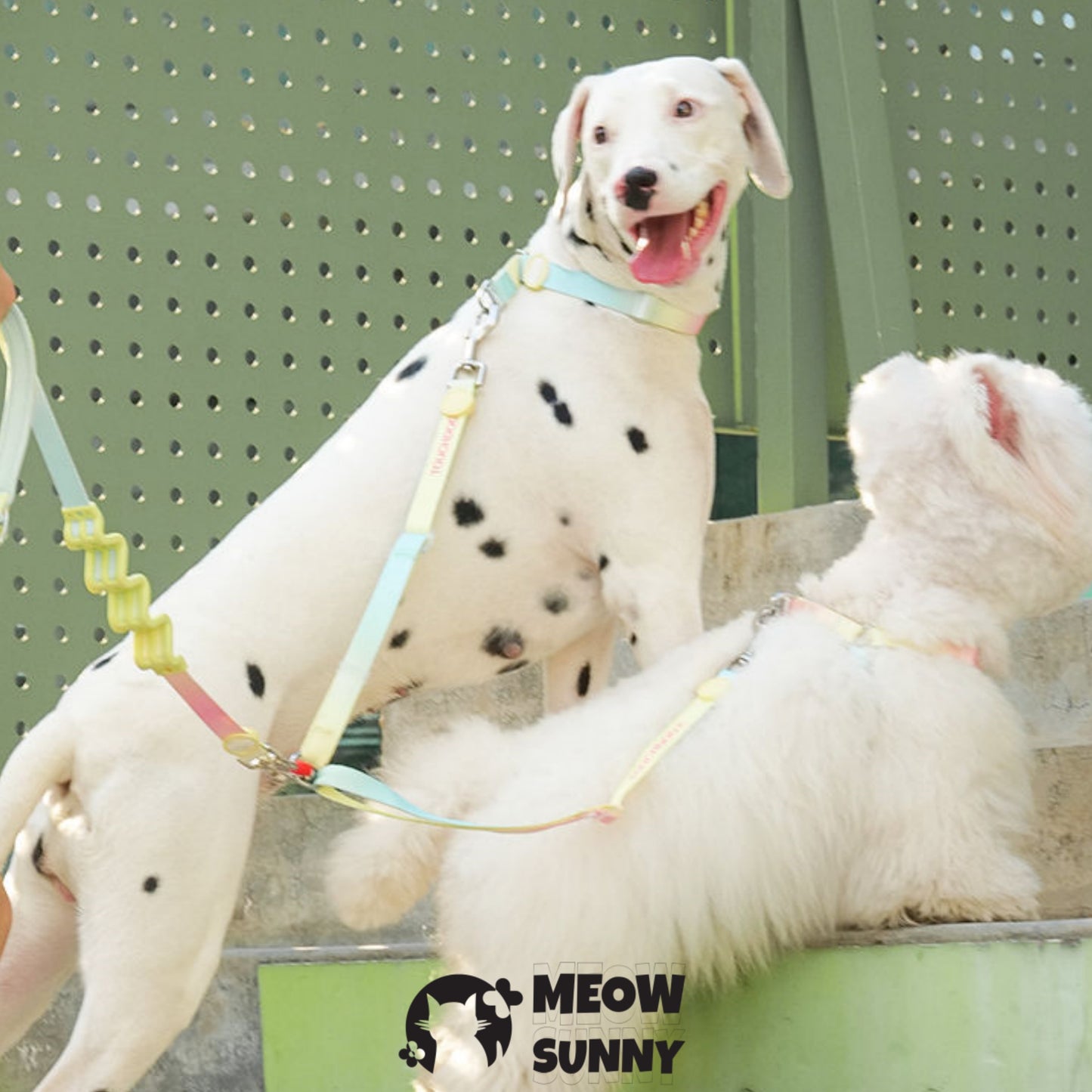 Escape Free Easy Fit Dog Harness, Colorful,1.2M